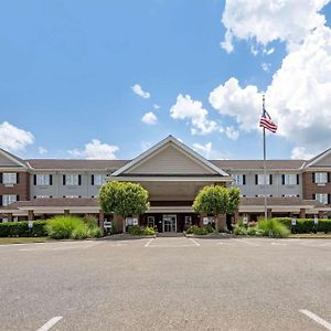 Comfort Suites Hotel And Conference Center